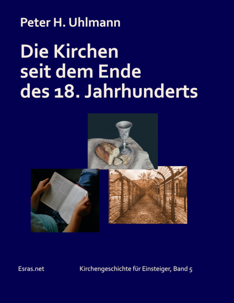 Cover von dem Buch: Die Kirchen seit dem Ende des 18. Jahrhunderts